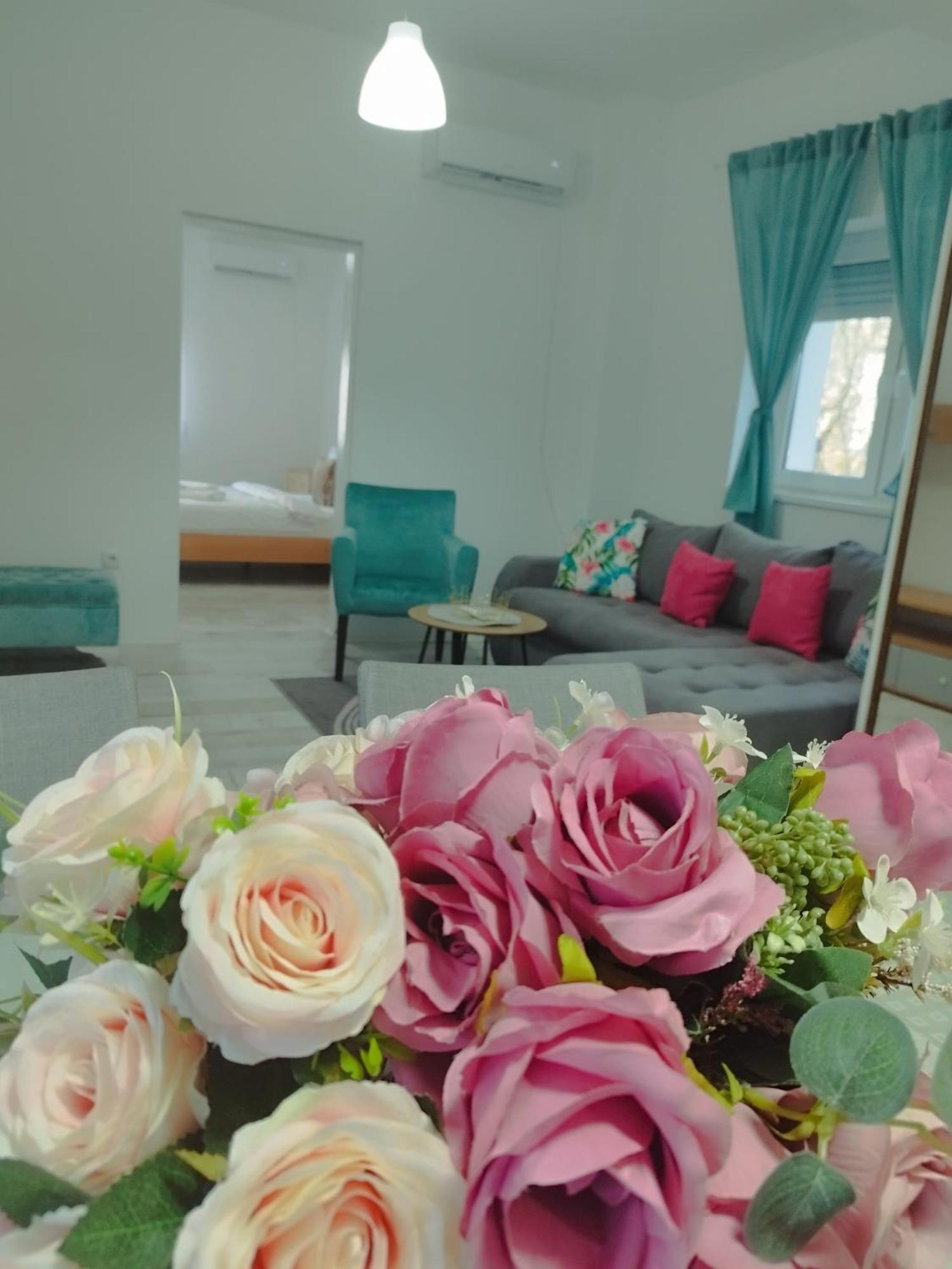 Apartman Radovic Smederevo Exterior foto
